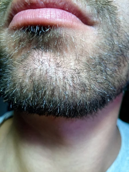 Sakallı genç adam, yakındaki sakallı. Bir haftadan fazla tıraşsız.. — Stok fotoğraf
