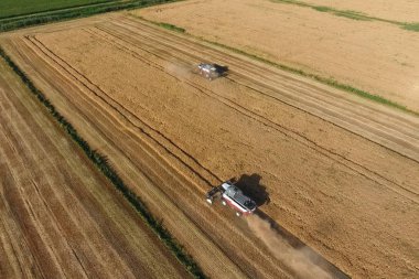 Hasat makinesi hasat arpa birleştirin