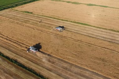 Hasat makinesi hasat arpa birleştirin