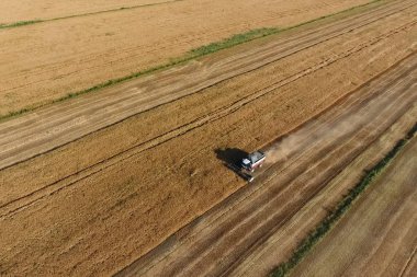 Hasat makinesi hasat arpa birleştirin