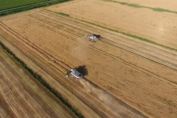 Hasat makinesi hasat arpa birleştirin — Stok fotoğraf