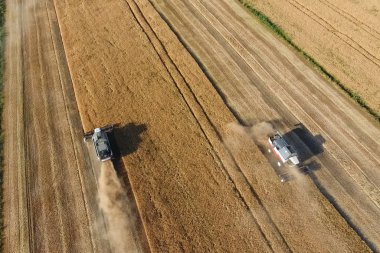 Hasat makinesi hasat arpa birleştirin