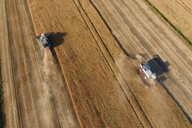 Hasat makinesi hasat arpa birleştirin