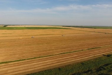 Hasat makinesi hasat arpa birleştirin