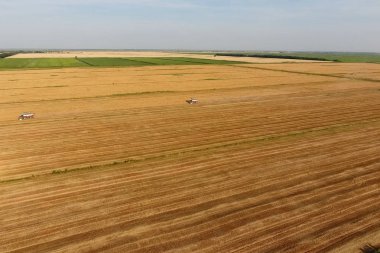 Hasat makinesi hasat arpa birleştirin