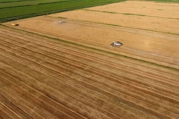 Mähdrescher erntet Gerste — Stockfoto