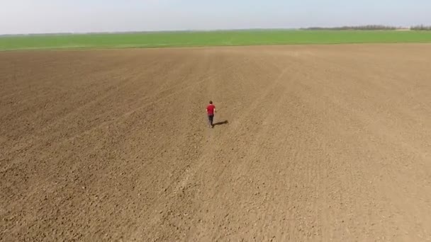 Hombre Corre Través Del Campo Correr Campo Abierto — Vídeo de stock