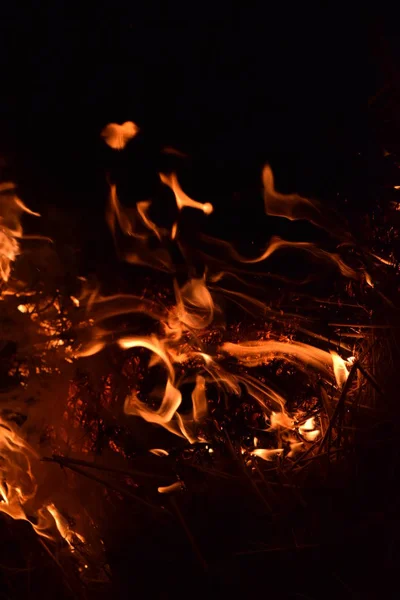 Quemadura de paja de arroz por la noche . —  Fotos de Stock