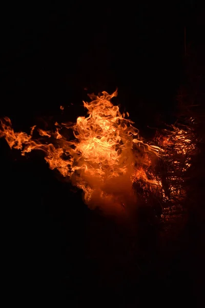Brûlage de paille de riz la nuit . — Photo
