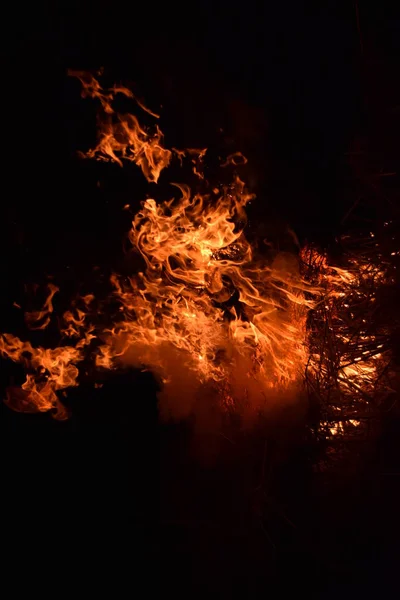 Brûlage de paille de riz la nuit . — Photo