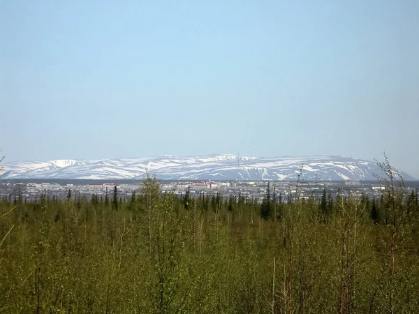 Waldtundralandschaft im Sommer. Taiga von Sibirien. amal. — Stockfoto