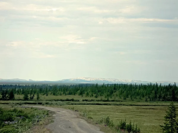 V létě v Tundra je prašná cesta. Cesta z rubbl — Stock fotografie