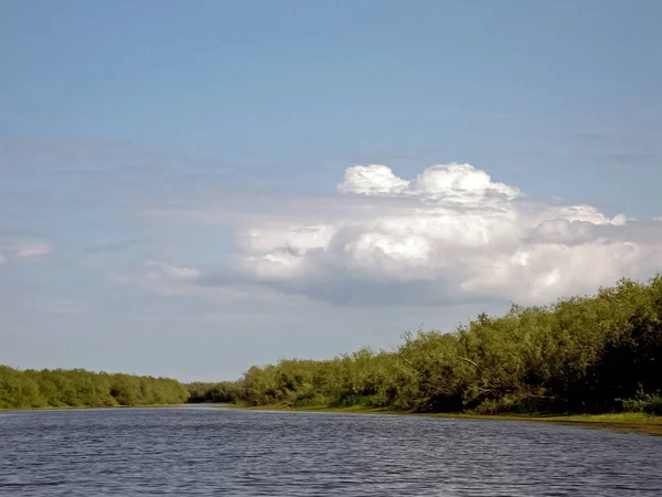 川の風景。夏の森の北トナカイ。空、gr — ストック写真