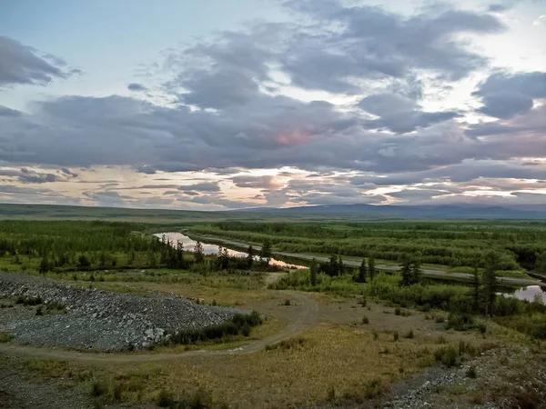 River landscape. Northern reindeer in summer forest. The sky, gr — Stock Photo, Image