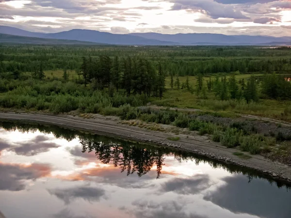 River landscape. Northern reindeer in summer forest. The sky, gr — Stock Photo, Image