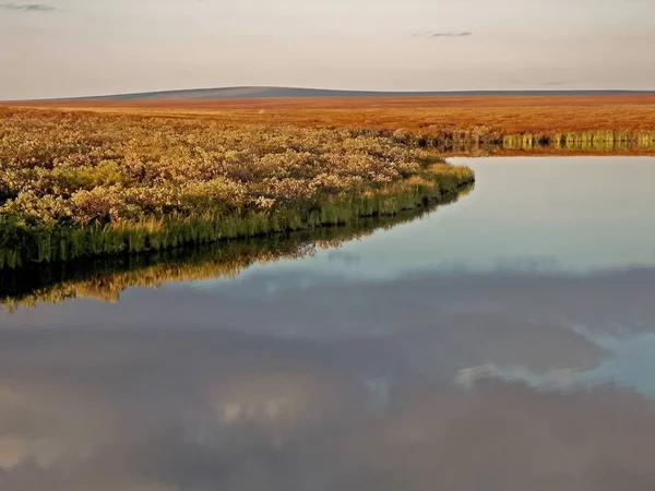 Folyó és erdő. Őszi táj a Yamal-félszigeten — Stock Fotó