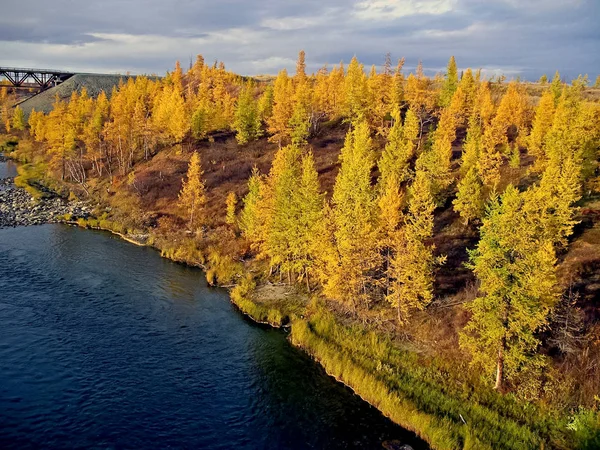 Řeka a les. Podzimní krajina na poloostrově Jamal pod — Stock fotografie