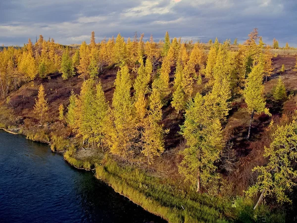 Rio e floresta. Paisagem de outono na Península de Yamal sob — Fotografia de Stock