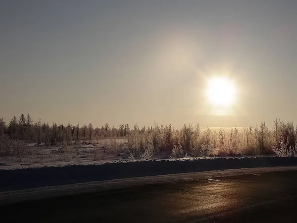 森林-冻土带冬季道路上的日落. — 图库照片