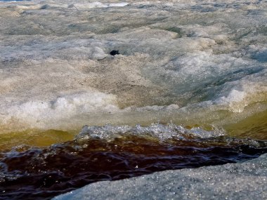 İlkbaharda eriyen kar. Bahar sıcağı karı eritecek..