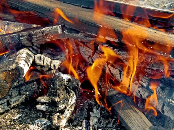 Brennholz im Feuer verbrennen. die Flamme eines brennenden Baumes. — Stockfoto