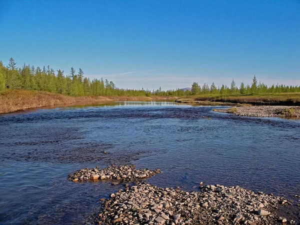 Paisaje fluvial. Reno del norte en el bosque de verano. El cielo, gr —  Fotos de Stock