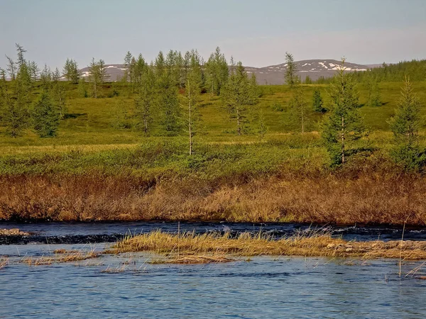 Paisaje fluvial. Reno del norte en el bosque de verano. El cielo, gr — Foto de Stock