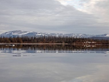 Nehir manzarası Erken bahar. çıplak ağaçlar, eriyen kar.