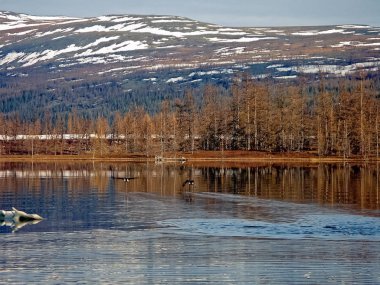Nehir manzarası Erken bahar. çıplak ağaçlar, eriyen kar.