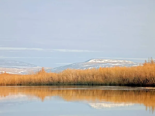 川の風景 早春。裸の木, 雪を溶かす. — ストック写真