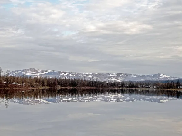 Paisagem fluvial Início da primavera. árvores nuas, neve derretida . — Fotografia de Stock