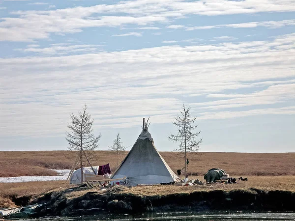 Yourte des indigènes du nord de Yamal. Wigwam de rei — Photo