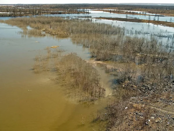 Nehir manzarası Erken bahar. çıplak ağaçlar, eriyen kar.