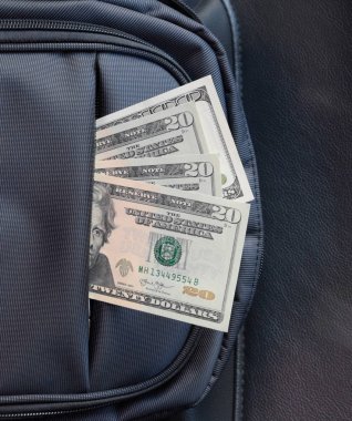 Dolar çantasının cebinde. Amerikan parası