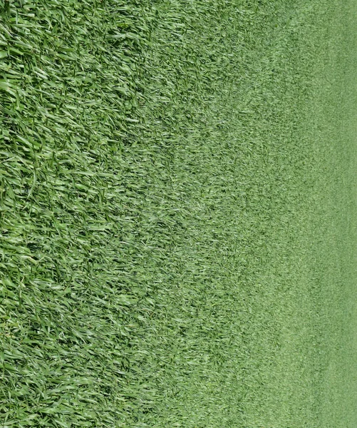 Campo de cevada verde jovem — Fotografia de Stock
