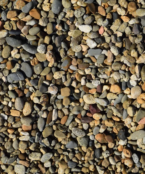 Fondo de pequeña piedra redonda triturada — Foto de Stock