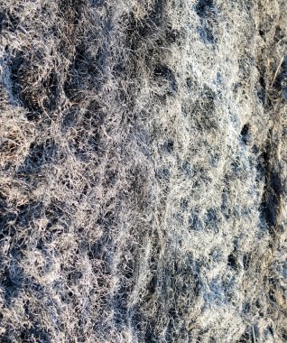 Arka plan doku çim, çim kül yanmış.