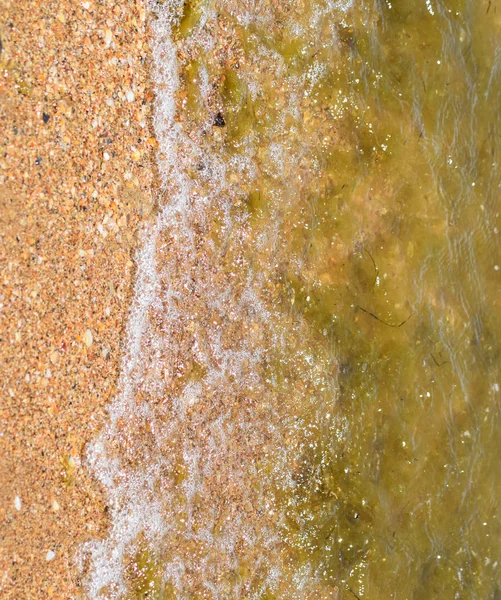 Прибережні морські хвилі. Морська вода з водоростями. Прибережні водорості. Морський пляж . — стокове фото