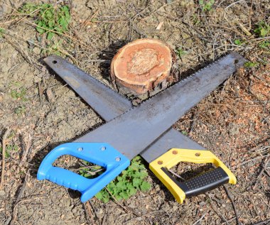 İki testere testerelerle karşısında yalan. Bahçe araç gördüm.