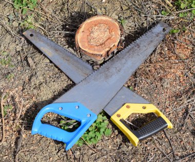 İki testere testerelerle karşısında yalan. Bahçe araç gördüm.