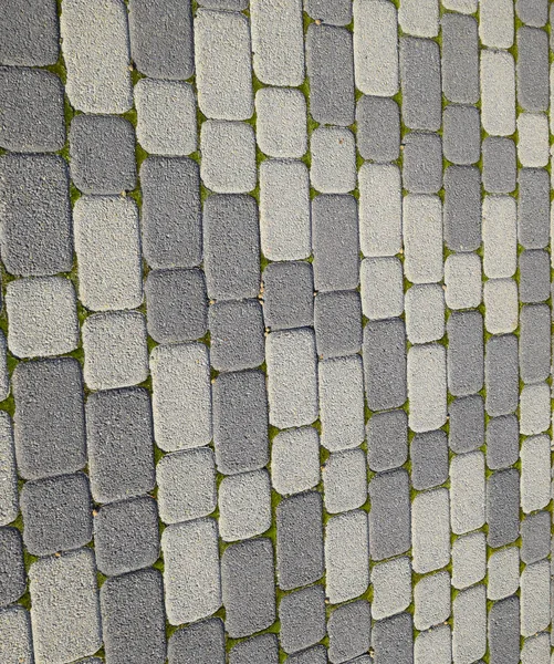Industrielle Gebäude Hintergrund der Pflasterplatten mit Moos in den Rissen überwuchert. Texturierung Hintergrund — Stockfoto