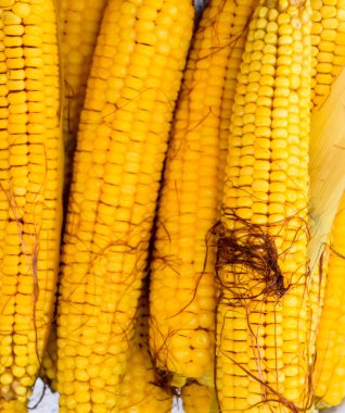 Alüminyum tepside haşlanmış mısır. Yakınlarda mısır var. Mısıra yakın çekim. Sarı haşlanmış taze mısır, yararlı ve lezzetli yiyecekler..