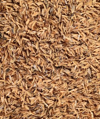 Pirinç kabuğu. Arka plan.