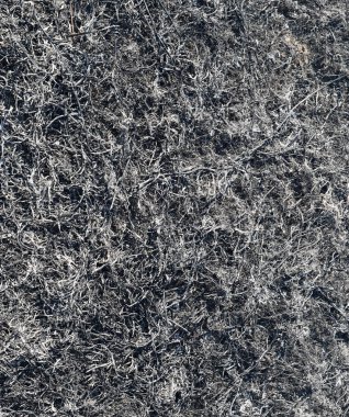 Yanmış çim küllerinden arka plan