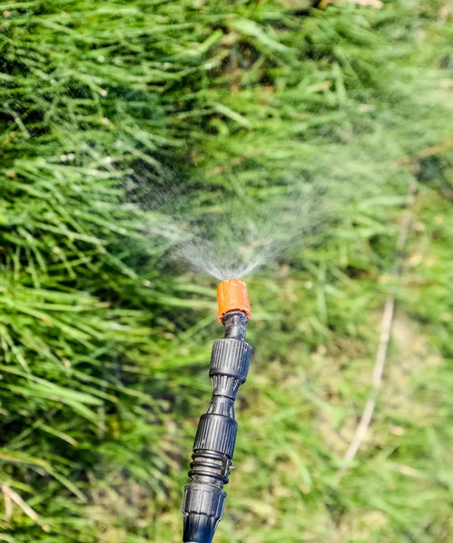 Menyemprotkan herbisida dari nozzle manual penyemprot — Stok Foto