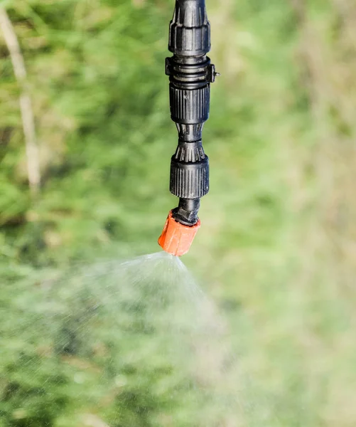 Menyemprotkan herbisida dari nozzle manual penyemprot — Stok Foto