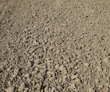 Sürülmüş alan, soya Ekim gelen satırları. Toprak sahada