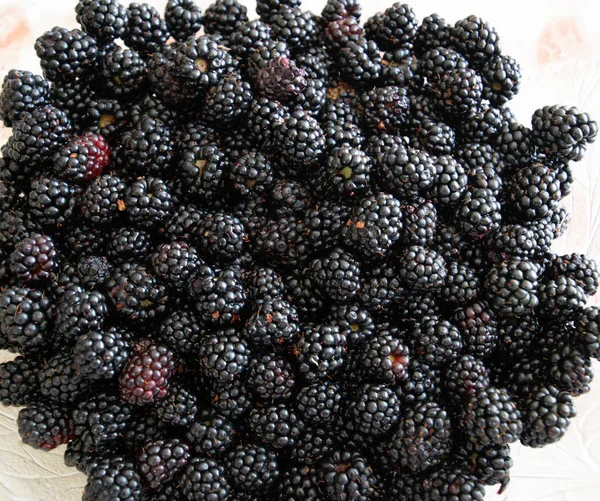 Background texture of blackberries, berries on table — Stock Photo, Image