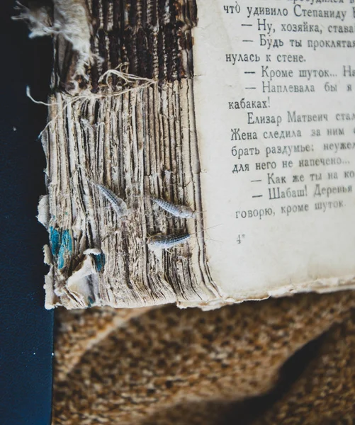 Серебряная рыба три куска на разорванной обложке старой книги. Пешеходные книги и газеты. Кормление насекомых на бумаге - серебристая рыба — стоковое фото