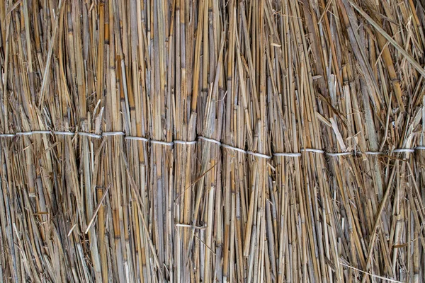 葦のフェンス。葦の背景テクスチャ — ストック写真